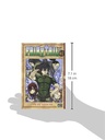 Fairy Tail Tome 41
