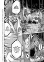 Chiruran - Tome 11