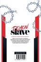 Demon Slave Tome 3