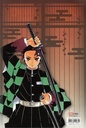Demon slayer Edition Pilier Tome 2