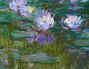 Puzzle Monet - Les Nymphéas