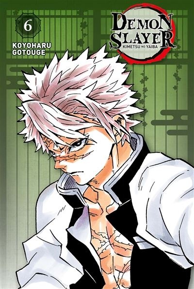 Demon slayer Edition Pilier Tome 6