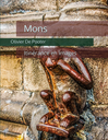 Mons - Itinéraire en images