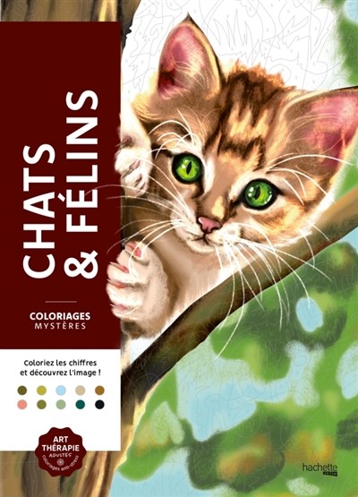 Coloriages mystères - chats et félins
