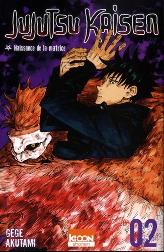 Jujutsu Kaisen Tome 2