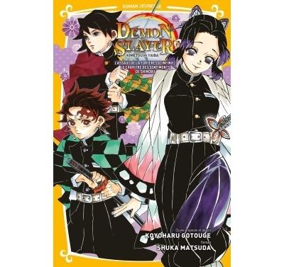 Demon Slayer - Roman jeunesse - Tome 6
