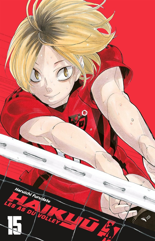 Haikyu!! Tome 15 Smash Édition