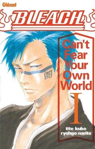 Bleach roman - can't fear your own world Tome 1