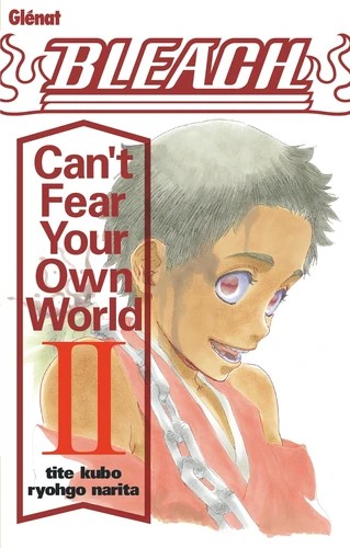 Bleach roman - can't fear your own world Tome 2