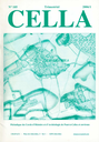 Cella n° 105