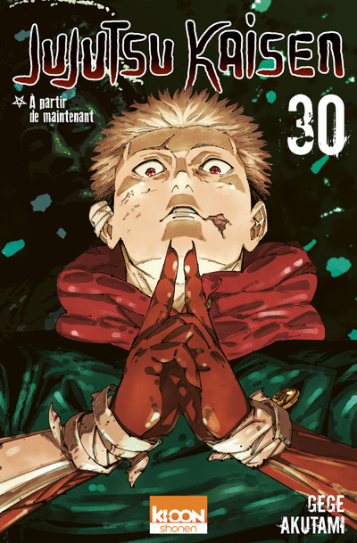 Jujutsu Kaisen Tome 30