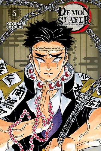 Demon slayer Edition Pilier Tome 5