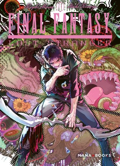 Final Fantasy Lost Stranger Tome 11