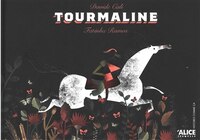 [9782874264719] Tourmaline