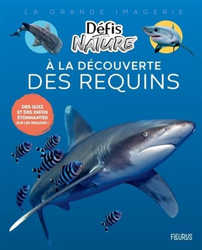 [9782215194439] A la découverte des requins