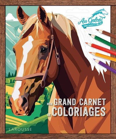 [9782036069473] Mon grand carnet de coloriages au galop