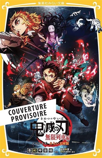 [9791039122948] Demon Slayer - Roman jeunesse - Tome 3