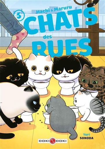 [9791041110735] Hachi & Maruru - Chats des rues Tome 5