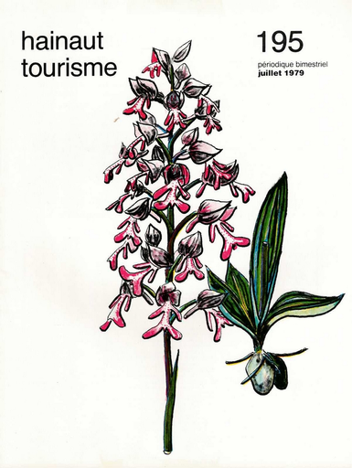 [D-HT-1979-195] Hainaut Tourisme n° 195