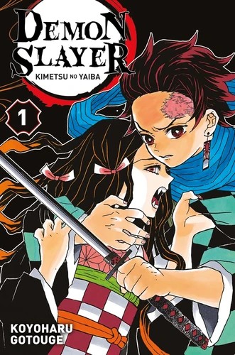 [9782809482317] Demon slayer Tome 1