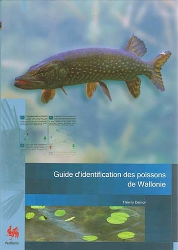[084243_0] Faune - Flore - Habitats № 06. Guide d'identification des
poissons de Wallonie (papier)